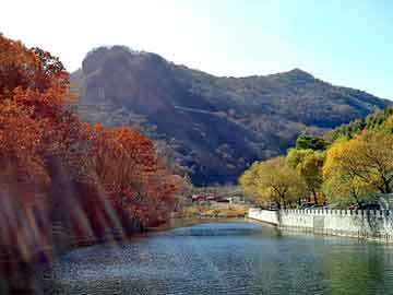 澳门天天开奖免费资料，东风景逸论坛